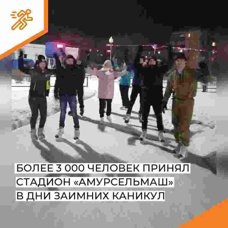 Подводим итоги работы в дни зимних каникул