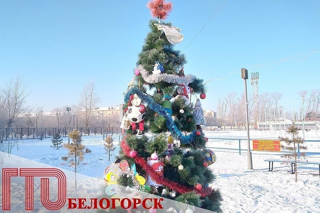 &laquo;Ёлка ГТО&raquo; вновь появится на  стадионе &laquo;Амурсельмаш&raquo;