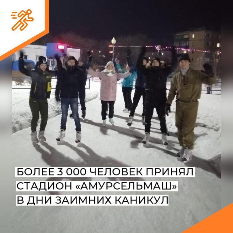 Подводим итоги работы в дни зимних каникул