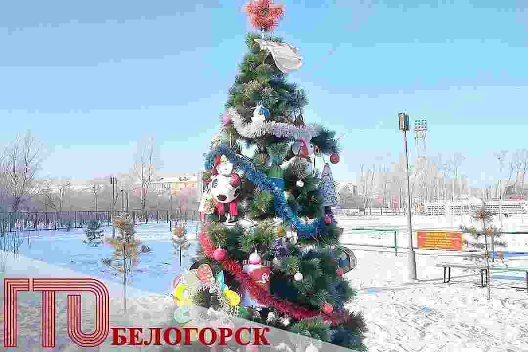 &laquo;Ёлка ГТО&raquo; вновь появится на  стадионе &laquo;Амурсельмаш&raquo;