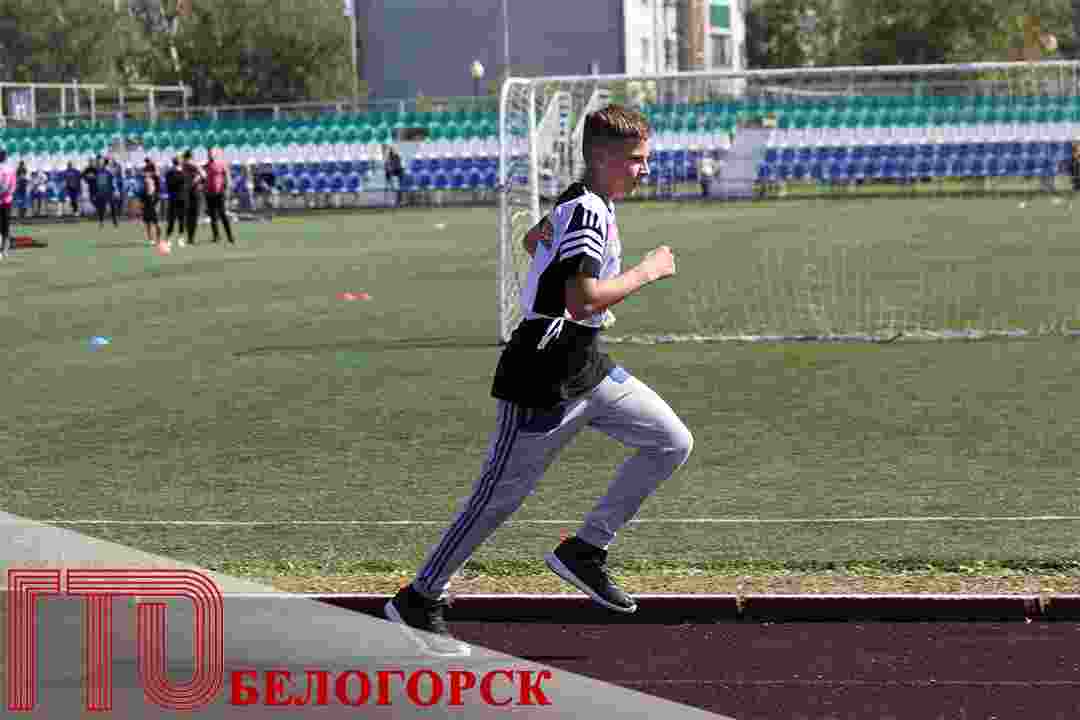 Осенний сезон тестирования Всероссийского физкультурно-спортивного комплекса ГТО продолжается .